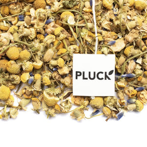 Sleep Wellness Tea (30 tea sachets) | PLUCK